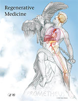 Regenerative Medicine 2006 cover graphic