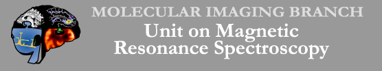 MOLECULAR IMAGING BRANCH BANNER