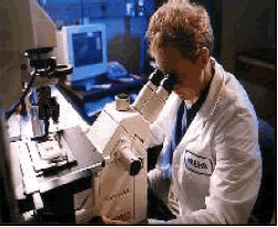 Image of a scientist with a microscope