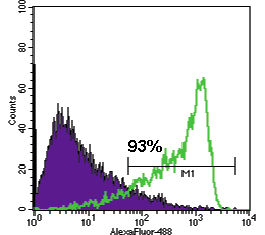 WA01 TRA-1-60 histogram