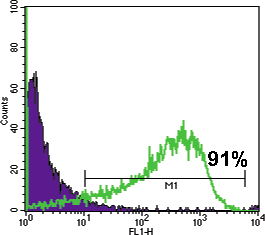 WA09 TRA-1-60 histogram