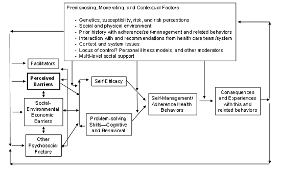 Logic Model of Role Of Perceived Barriers and Related Constructs to Patient Self Management/Adherence