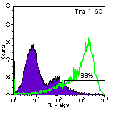 TE06 TRA-1-60 histogram