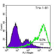 TE06 TRA-1-81 histogram