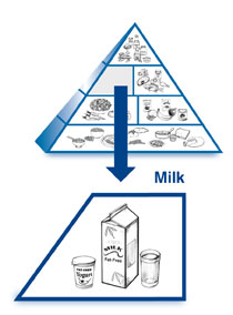 An enlarged drawing of the milk group below a drawing of the diabetes food pyramid. The enlarged drawing is labeled milk. The section includes drawings of a container of yogurt, a carton of milk, and a glass of milk.