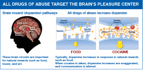 All Drugs of abuse target the brain's pleasure center