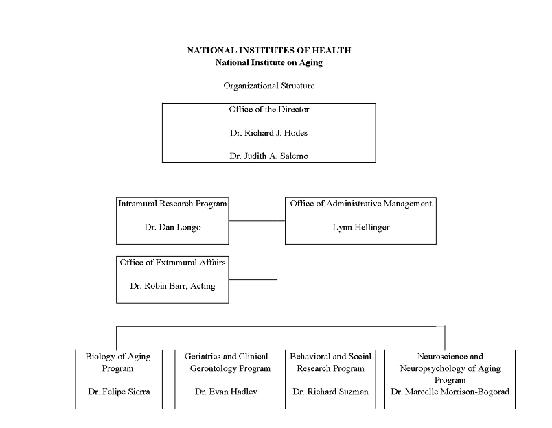 Organizational Structure diagram -- Office of the Director, Dr. Richard J. Hodes and Dr. Judith A. Salerno: All the following departments report directly to the Office of the Director, in 3 strata: 1 Intramural Research Program, Dr. Dan Longo: Office of Administrative Management, Lynn Hellinger: 2 Office of Extramural Affairs, Dr. Robin Barr, Acting: 3 Biology of Aging Program, Dr. Felipe Sierra: Geriatrics and Clinical Gerontology Program, Dr. Evan Hadley: Behavioral and Social Research Program, Dr. Richard Suzman: Neuroscience and Neuropsychology of Aging Program, Dr. Marcelle Morrison-Bogorad