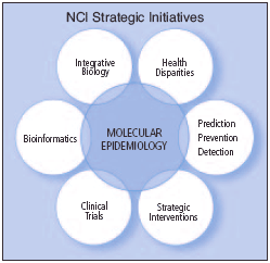 Flower graph of NCI Strategic Initiatives