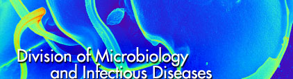 Division of Microbiology and Infectious Diseases