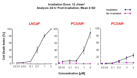 Figure 3: Androgen receptor level in cells determines senstitivity to TDPQ-induced apoptosis. After 60 min exposure to the compound and 180 seconds’ illumination the cells were grown for 24 h and then stained with Hoechst and PI. Three human prostate tumor cell lines were compared quantitatively using a Zeiss Axiovision image analysis software program. Cell Death Index is a measure of the per cent of the initial cells in the irradiated field that have either become PI-positive (early apoptosis) or have been lost from the region (due to cell death). Left panel: Dose-response curves for TDPQ- photoinduced apoptosis. These cells, expressing high levels of AR, undergo complete apoptosis-induced cell death. Potency is about 400 nM TDPQ. Right panel: PC3 cells (AR-negative) stably transfected with an empty expression plasmid containing a neomycin selection marker. Efficacy of does not exceed 25%, even at the highest dose achievable due to limited solubility of TDPQ. Potency cannot be calculated but lies far to the right of that seen for LNCaP cells. Middle panel: PC3 cells that have been stably transfected with an AR expression plasmid. The cells express about 15% the level of AR as that seen in LNCaP cells (measured by Western immunoblotting). Efficacy is restored to 100% by the AR transfection. The cells are not as sensitive to TDPQ; the potency is shifted to the right to about 2 µM.