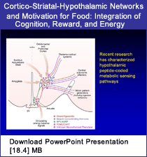 Link - PowerPoint presentation: Cortico-Striatal-Hypothalamic Networks and Motivation for Food: Integration of Cognition, Reward, and Energy