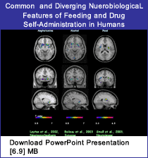 Link - PowerPoint presentation: Common and Diverging Neurobiological Features of Feeding and Drug Self-Administration in Humans