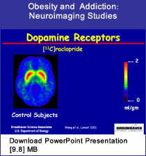 Link - PowerPoint presentation: Obesity and Addiction: Neuroimaging Studies