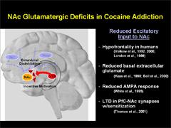 Link - to powerpoint presentation: Cocaine- and Extinction-Induced Neuroplasticity in AMPA Receptors Regulate Drug-Seeking Behavior