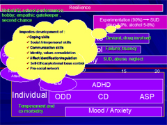 Link - to powerpoint presentation: Clinical Implications and Applications of Advances in Addiction Research to the Evaluation and Treatment of Adolescents