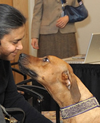 Kenji greets Dr. Joan Esnayra, founder of the Psychiatric Service Dog Society.