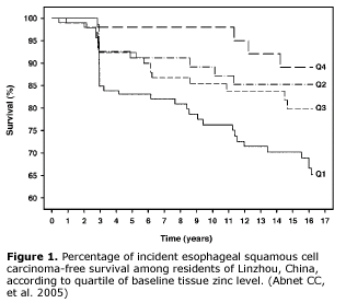 Figure 1: Percentage of incident esophageal squamous cell carcinoma-free survival among residents of Linzhou, China, according to a quartile of baseline tissue zinc level. (Abnet CC, et al. 2005)