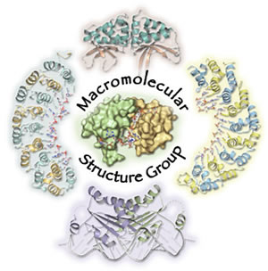 Crystal structures from the Macromolecular Structure Group