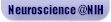 Link to Neuroscience@NIH