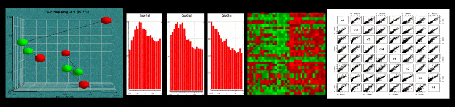 Photo of Biodata Mining and Discovery Section banner.