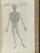 Vesalius Page 395