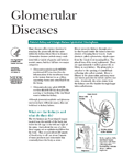 Glomerular Diseases