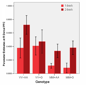 Effect of gene type on activation