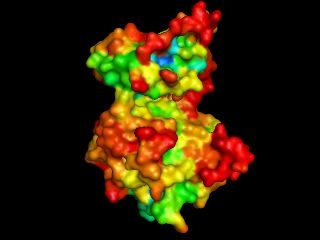 3D rendering of PKMzeta molecule