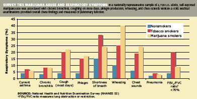 survey ties marijuana abuse and respiratory symptoms - Graphic