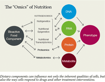 A graphic illustration of the interaction between bioactive food components, related fields of research, and different genetic and cellular elements.