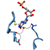 A model of the active site of IMPDH. The gray arrows (left) show the vestigial pathway, and the black arrow (right) shows the modern one. Credit: Lizbeth Hedstrom.