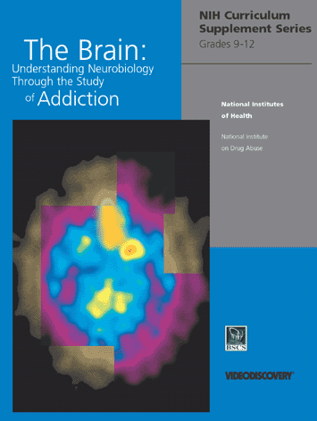 Cover of High School Curriculum booklet showing brain scan