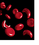 Illustration of hemoglobin proteins