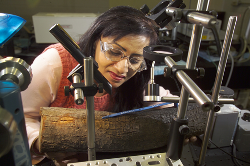 Elemental fingerprints - ORNL's Madhavi Martin has reinvented an old analytical method. She uses laser-induced breakdown spectroscopy-a technique invented in the 1960s-to collect elemental fingerprints from bone, wood and plants.