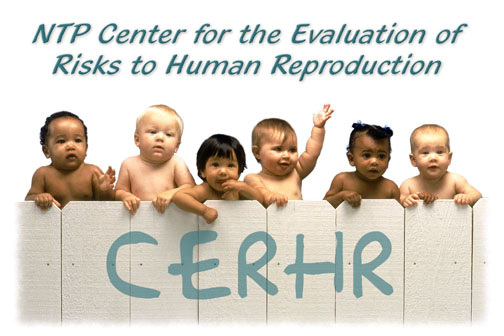 NTP Center for the Evaluation of Risks to Human Reproduction (CERHR) with Babies on the Fence photo