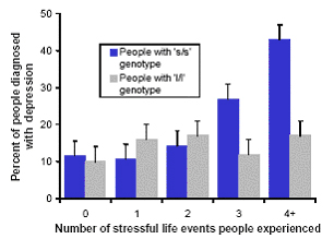 a chart depicting that gene more than doubles risk of depression following life stresses