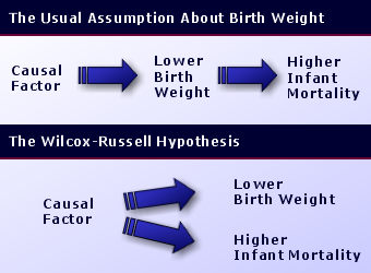 graphic comparing assumptions about birth weight