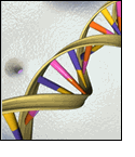 Illustration of DNA Double Helix