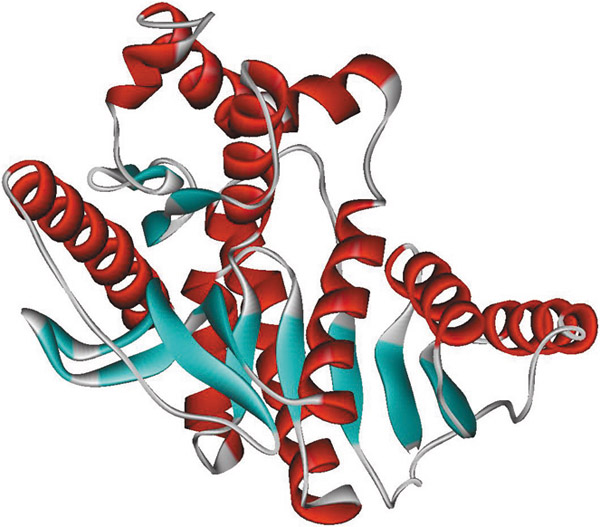 A ribbon diagram highlights organized regions of the protein (red and light blue).