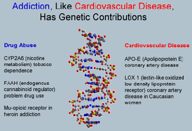 Addiction, Like Cardiovascular Disease, Has Genetic Contributions figure