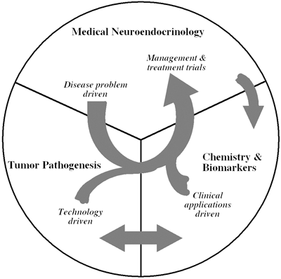 Figure 11.6