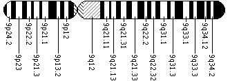 Ideogram of chromosome 9