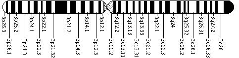 Ideogram of chromosome 3