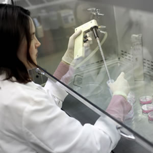 Researcher working under hood in lab