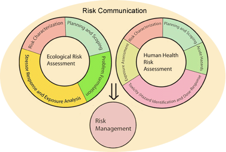 Superfund Risk Assessment Paradigm Chart