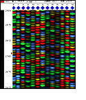 Computer image of a microarray