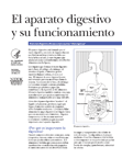 Your Digestive System and How It Works (El aparato digestivo y su funcionamiento)