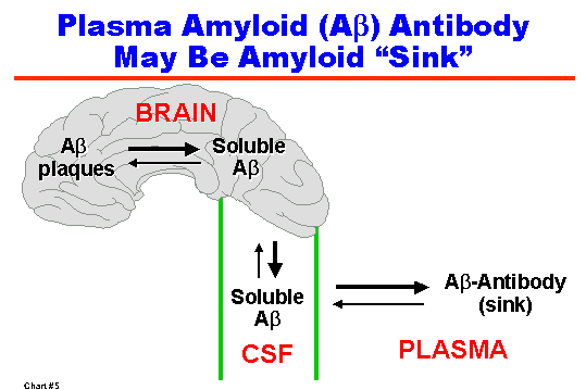 Plasma Amyloid (Aβ) Antibody May be Amyloid "Sink"