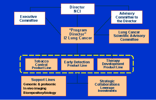 Team 12 Organization Chart