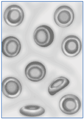 Drawing of healthy red blood cells. The cells are round and smooth.